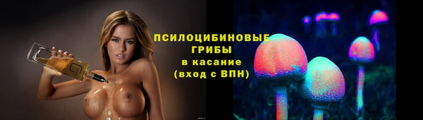 а пвп мука Абаза