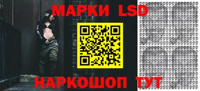 эйфоретик Гудермес