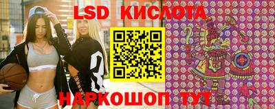 эйфоретик Гудермес