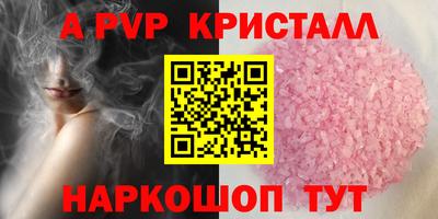 эйфоретик Гудермес