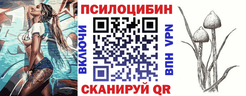 Псилоцибиновые грибы мицелий  где купить наркоту  Архангельск 