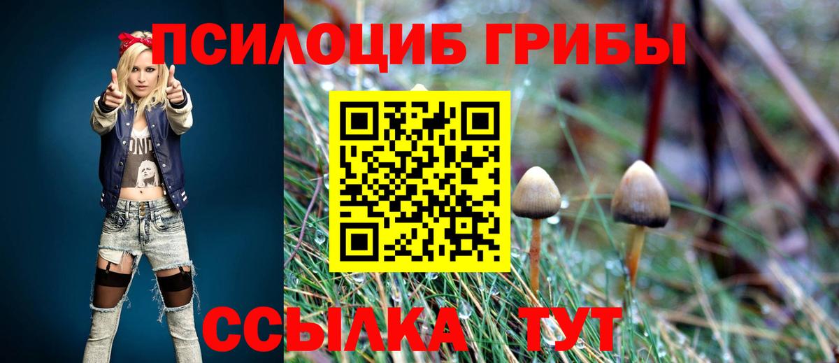 Архангельск  Псилоцибиновые грибы Cubensis  Вход с VPN 